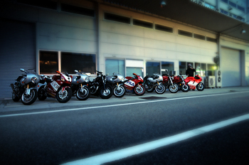 DSC_3878.jpg
